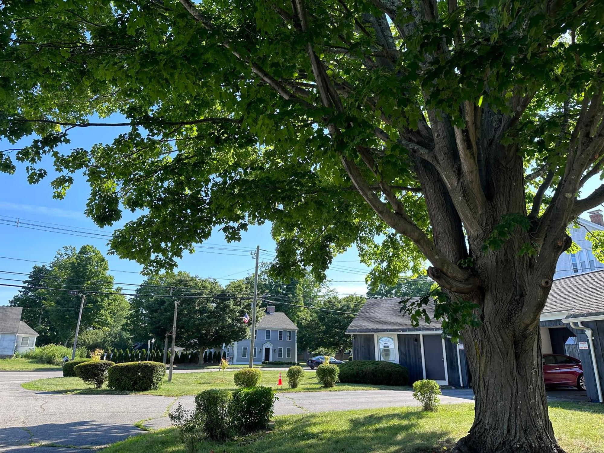Village Motel Clinton Exterior foto